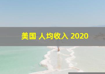 美国 人均收入 2020